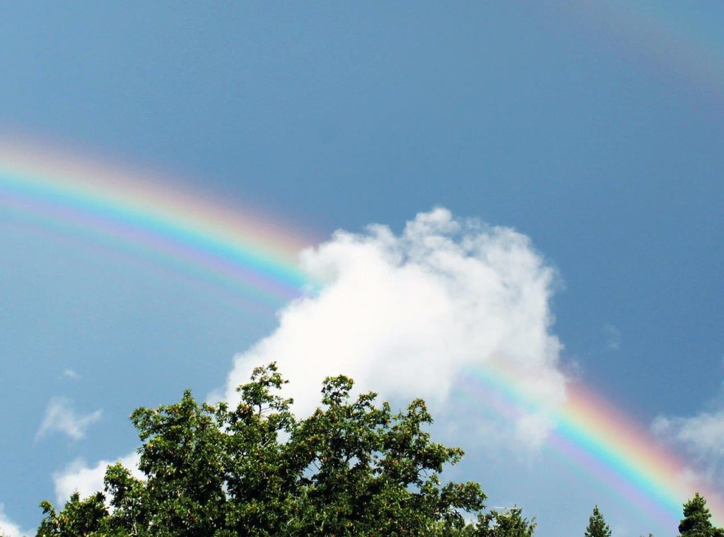 Regenbogen - Harald Arlander, unsplash