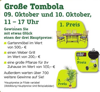 Großer Herbstmarkt von Pflanzen Kölle in Heilbronn und die LebensWerkstatt ist mittendrin!