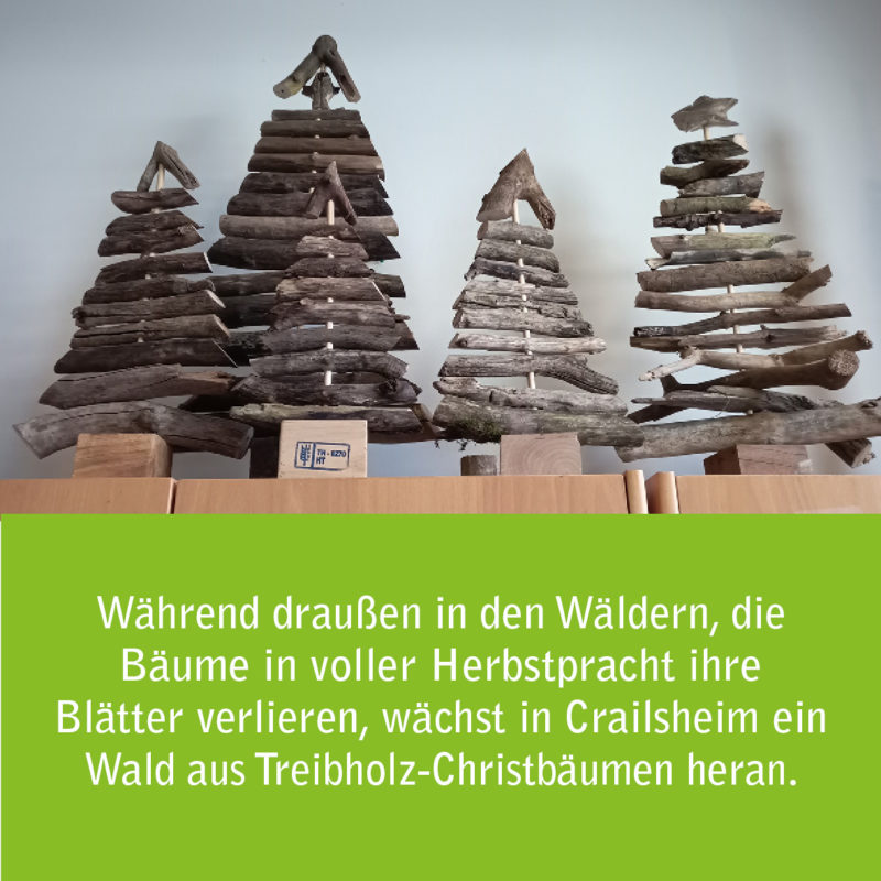 bild zeigt weihnachtsbäume aus treibholz