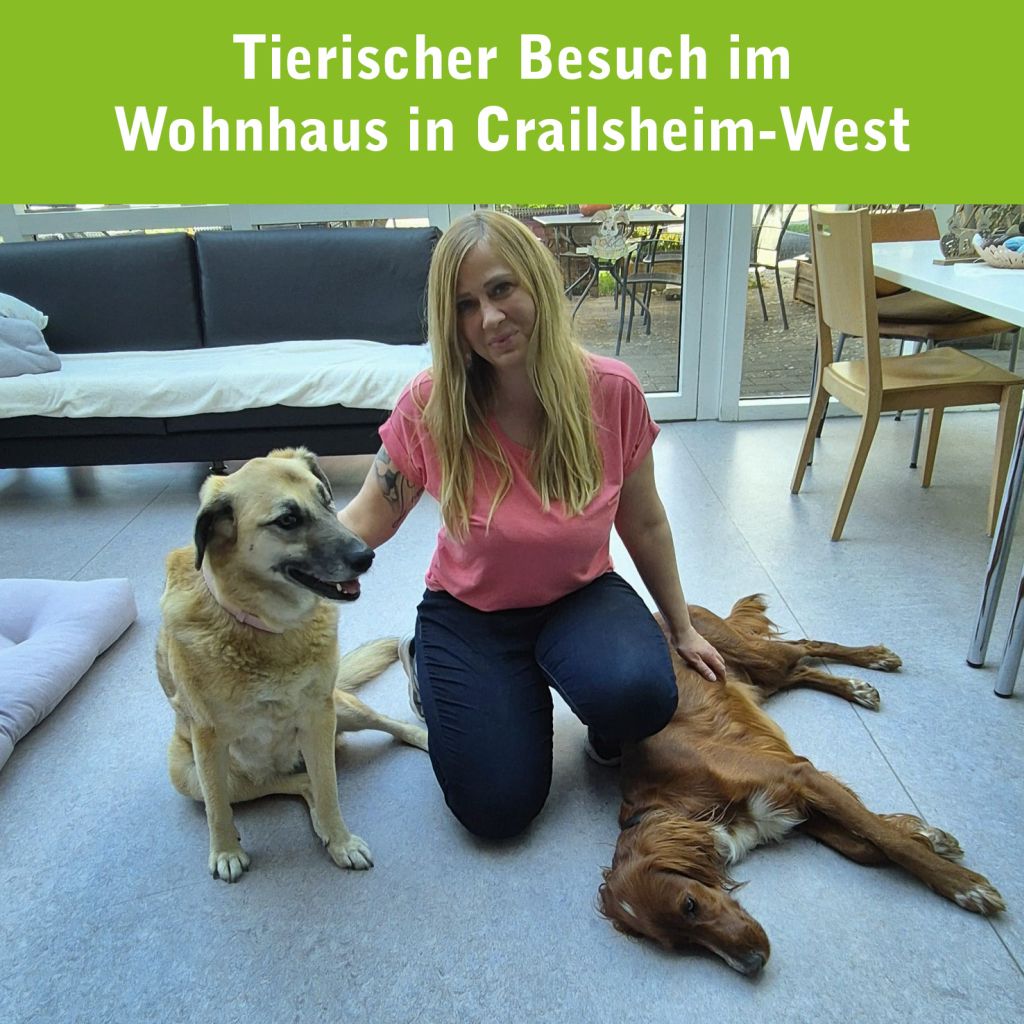 Tierisch gern gesehener Besuch im Wohnhaus am Standort in Crailsheim-West.