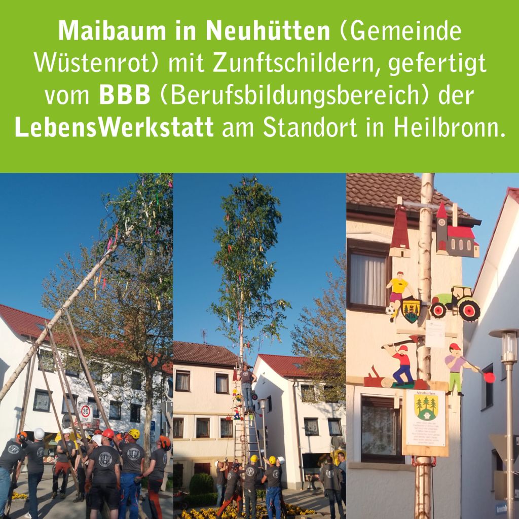 menschen stellen den maibaum auf