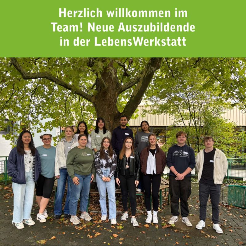 13 neue azubis stehen unter einem baum
