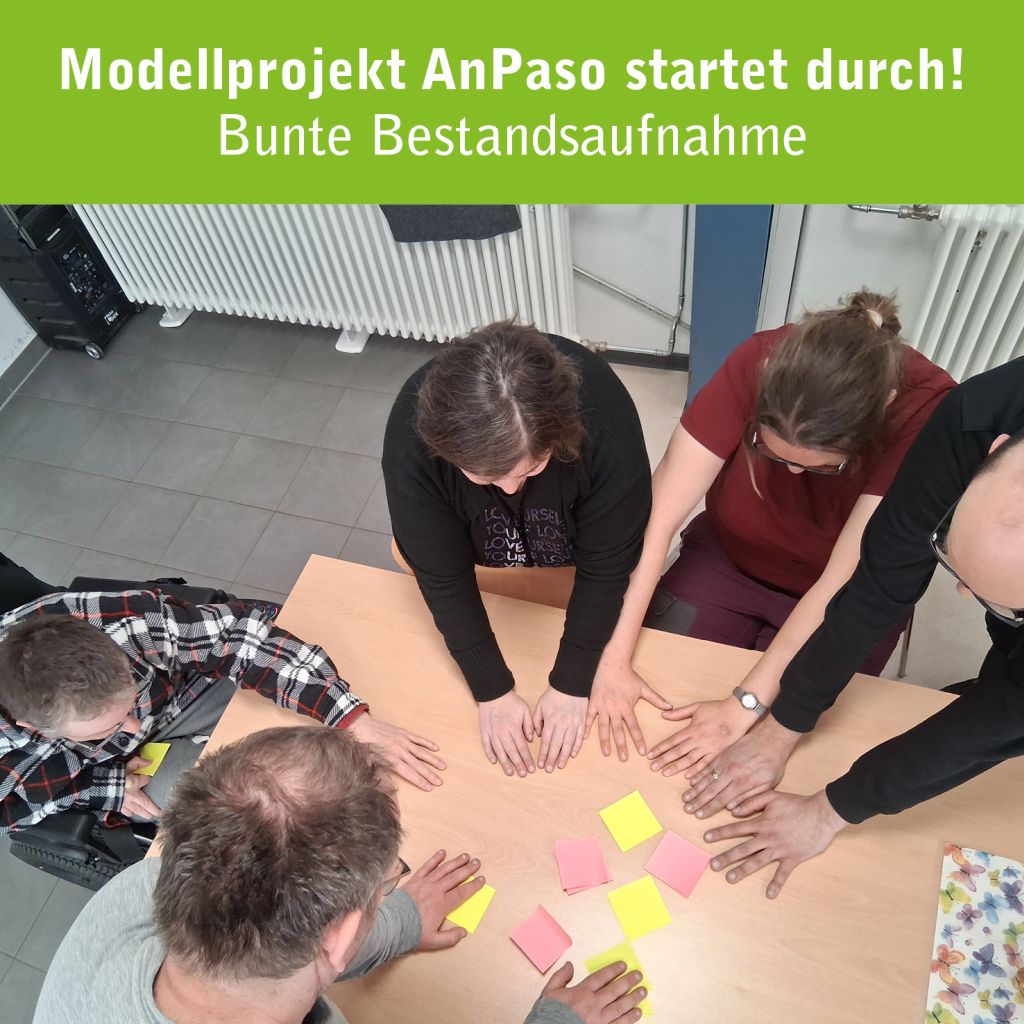 Gruppensitzung beim Modellprojekt AnPaso. Teilnehmer erarbeiten Ideen mit bunten Notizblättern.