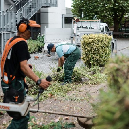 zwei Männer pflegen eine Grünanlage